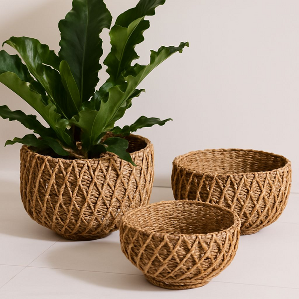 Woven Seagrass Baskets – Set of 3 Nesting Decorative Baskets for Storage & Home Décor