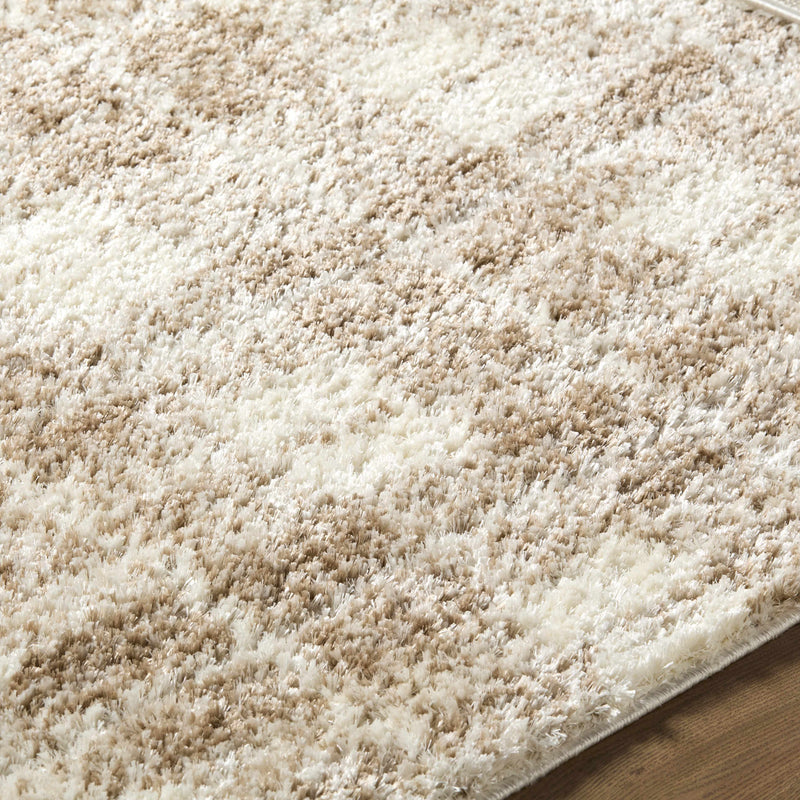 Anfisa Luxe Shag Rug-5