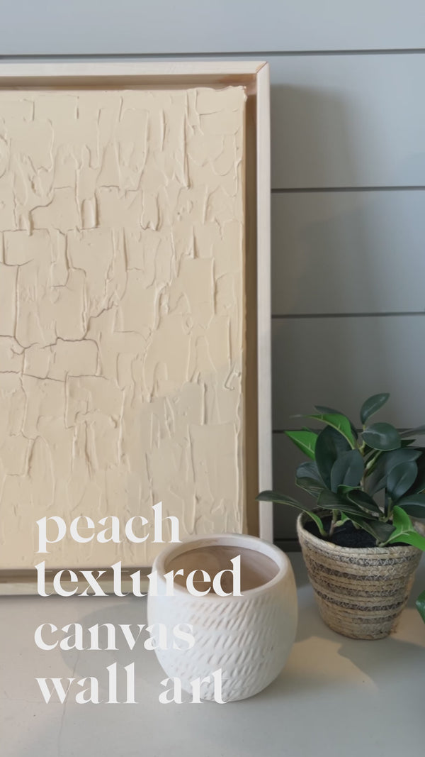 Peach Textured Canvas Wall Art