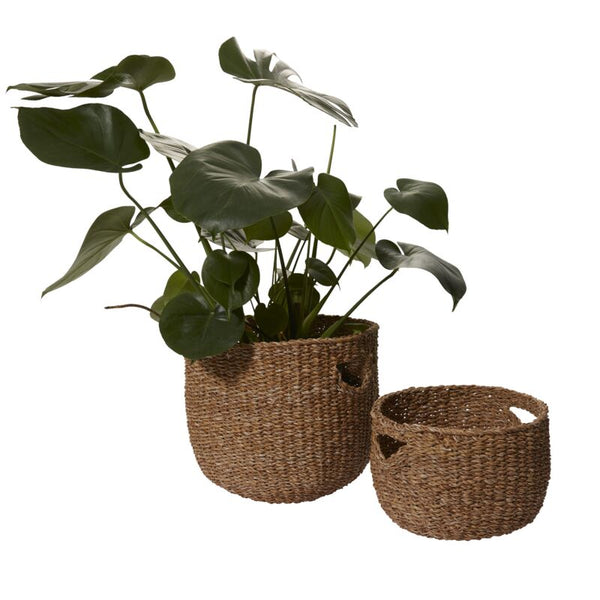 Cora Set of 2 Baskets