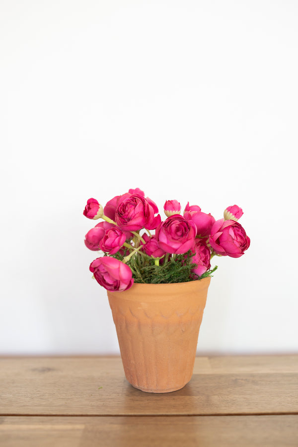 Small Potted Peony Planters