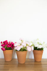 Small Potted Peony Planters