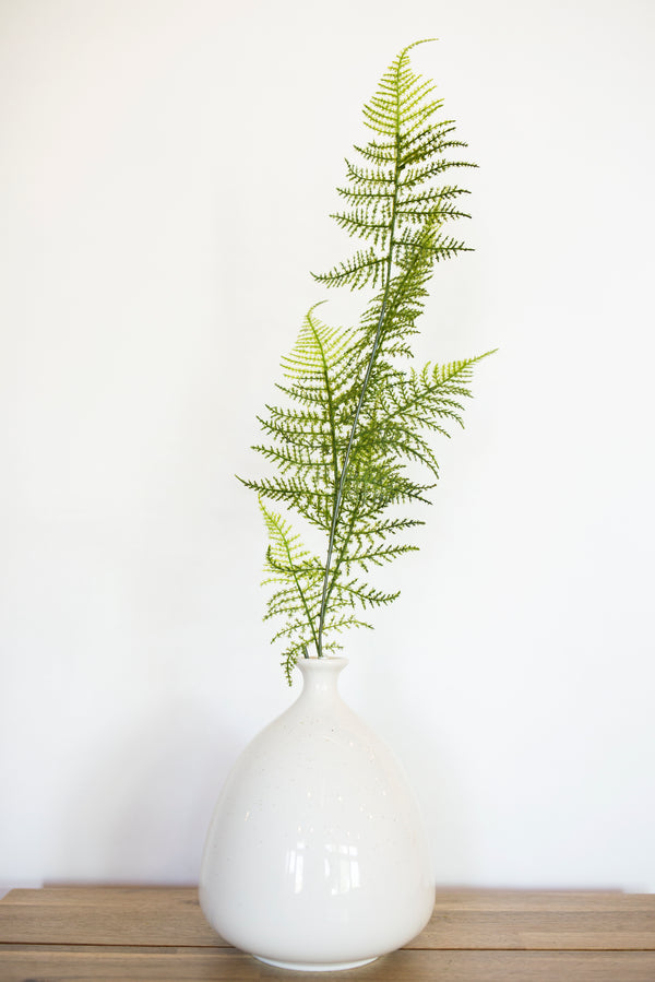 Fern Branch